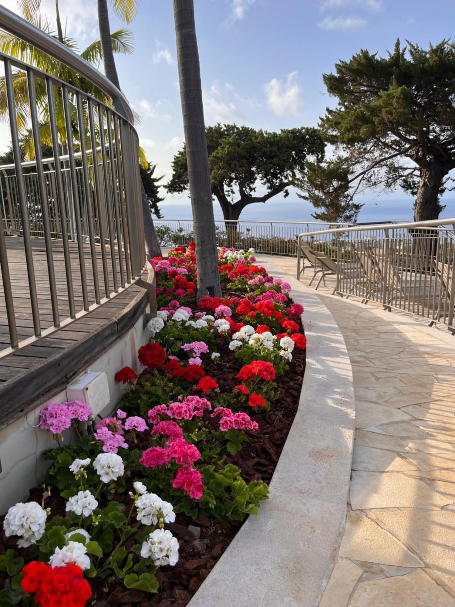 Quinta Funchal Gardens - Adults Only Ξενοδοχείο Εξωτερικό φωτογραφία